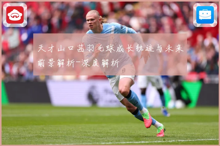 天才山口茜羽毛球成长轨迹与未来前景解析-深度解析