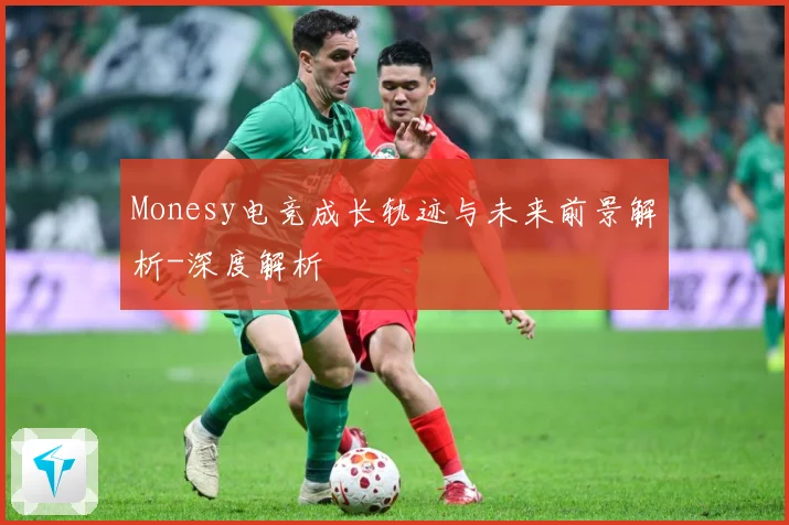 Monesy电竞成长轨迹与未来前景解析-深度解析