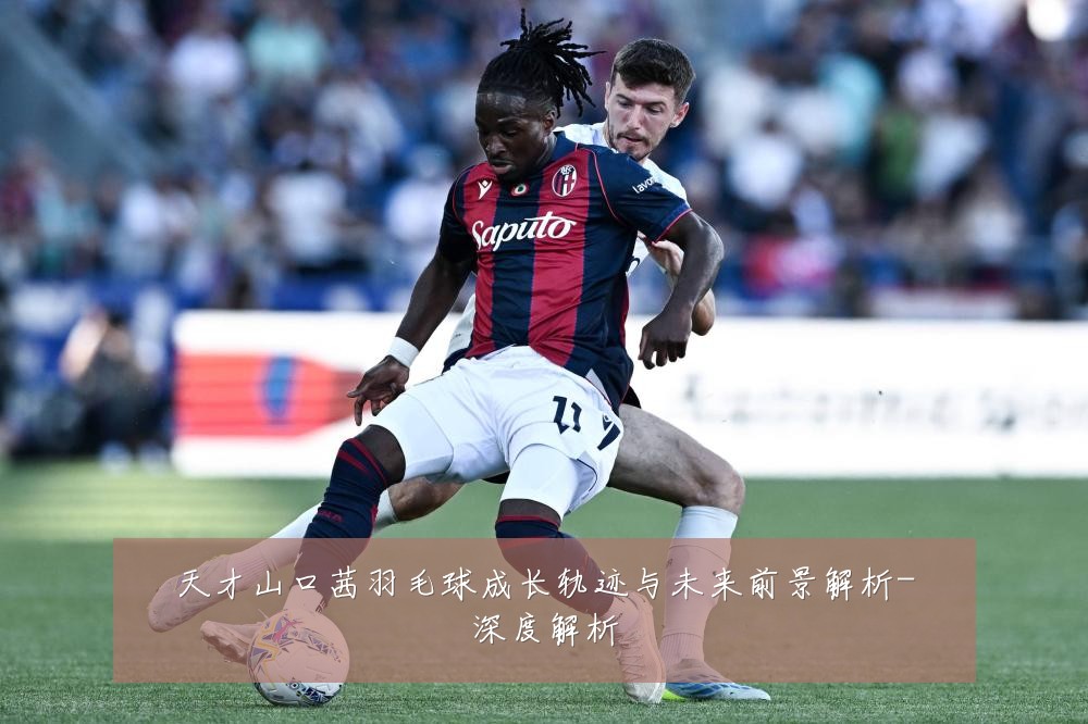 天才山口茜羽毛球成长轨迹与未来前景解析-深度解析